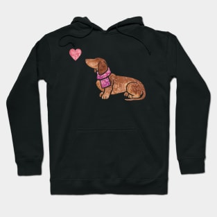 Smooth-haired Dachshund Hoodie